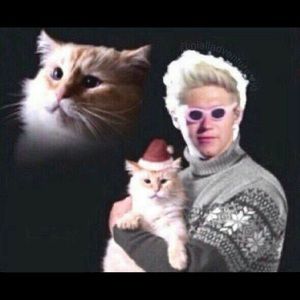 Meet your Posher, Maddison